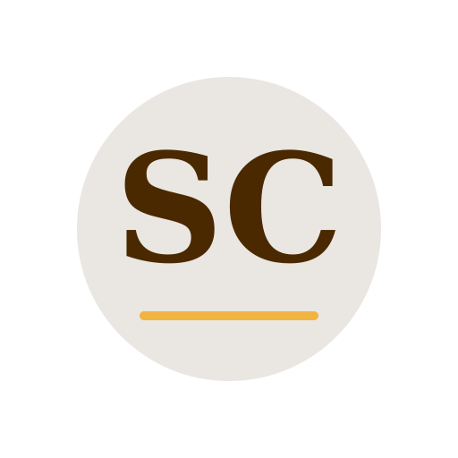 Selo Chimney Services logo